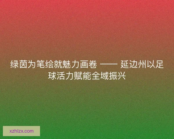 绿茵为笔绘就魅力画卷 —— 延边州以足球活力赋能全域振兴