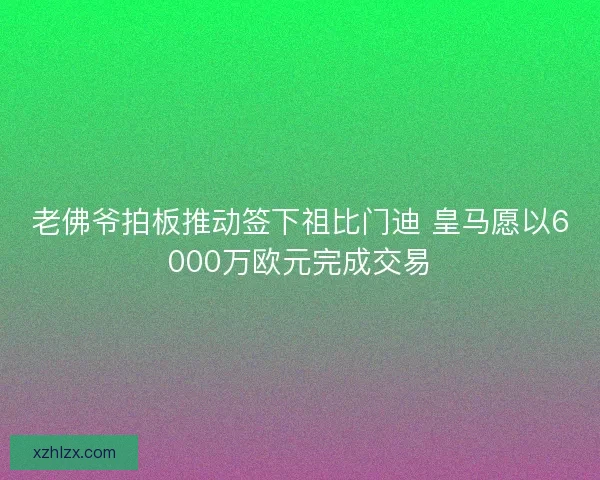 老佛爷拍板推动签下祖比门迪 皇马愿以6000万欧元完成交易 老佛爷拍板推动签下祖比门迪 皇马愿以6000万欧元完成交易